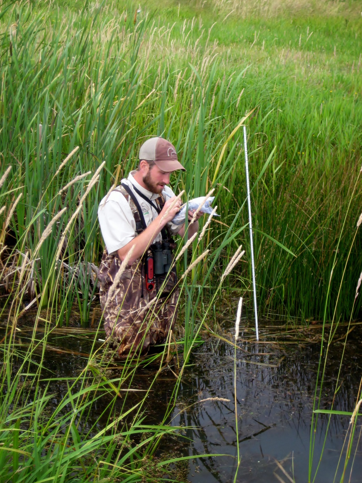 Tidwell and Hayes  03 Tidwell entering data